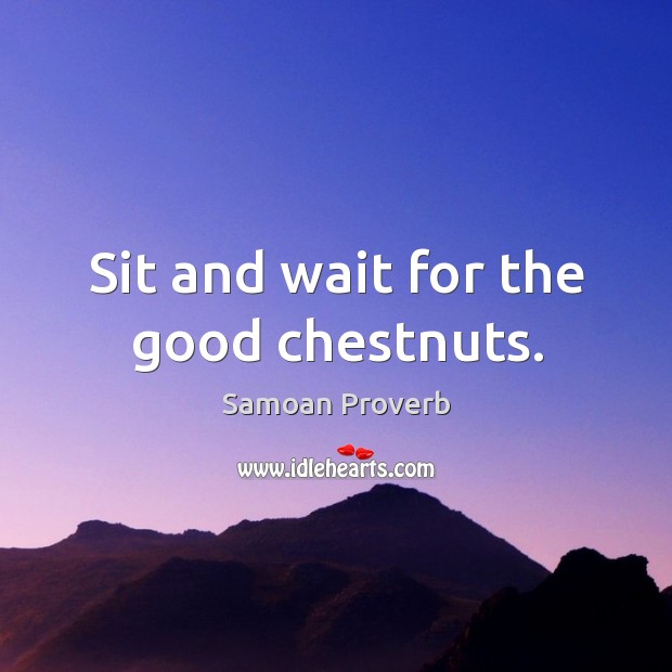 Sit and wait for the good chestnuts. Samoan Proverbs Image