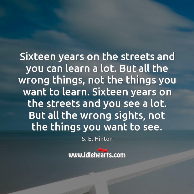 Sixteen years on the streets and you can learn a lot. But S. E. Hinton Picture Quote