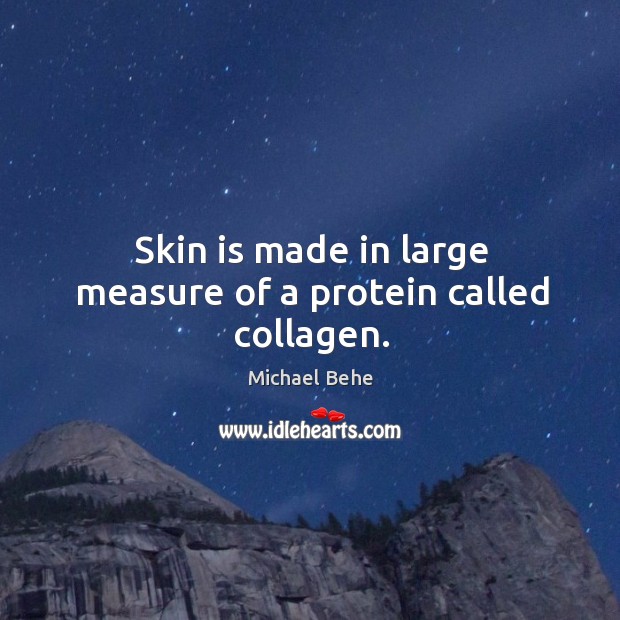 Skin is made in large measure of a protein called collagen. Image