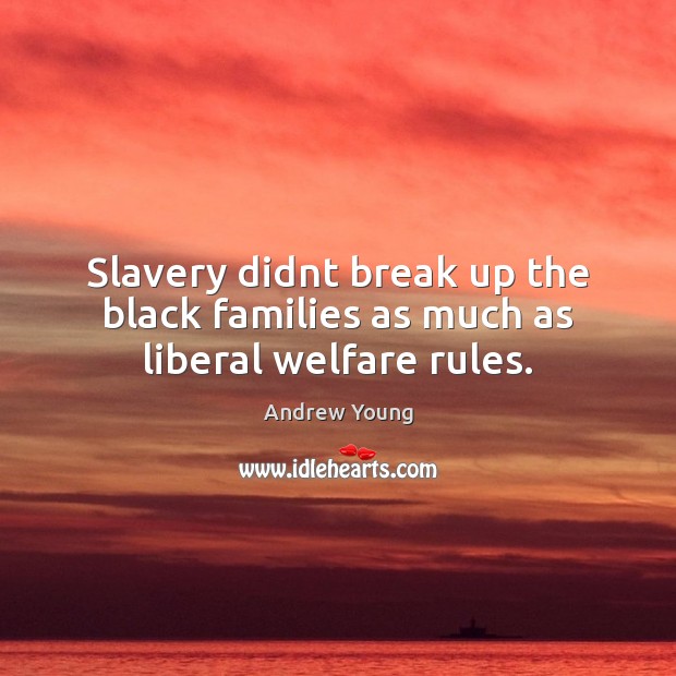 Slavery didnt break up the black families as much as liberal welfare rules. Andrew Young Picture Quote