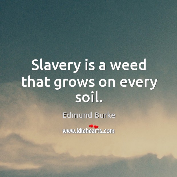 Slavery is a weed that grows on every soil. Image