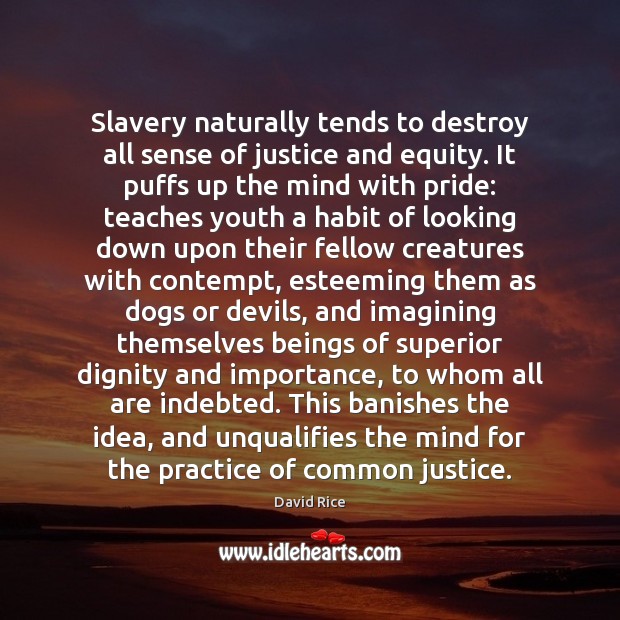 Slavery naturally tends to destroy all sense of justice and equity. It David Rice Picture Quote