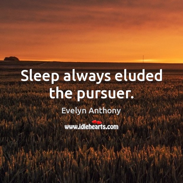 Sleep always eluded the pursuer. Evelyn Anthony Picture Quote