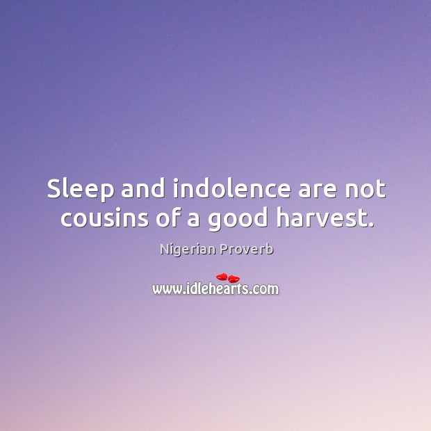 Sleep and indolence are not cousins of a good harvest. Image