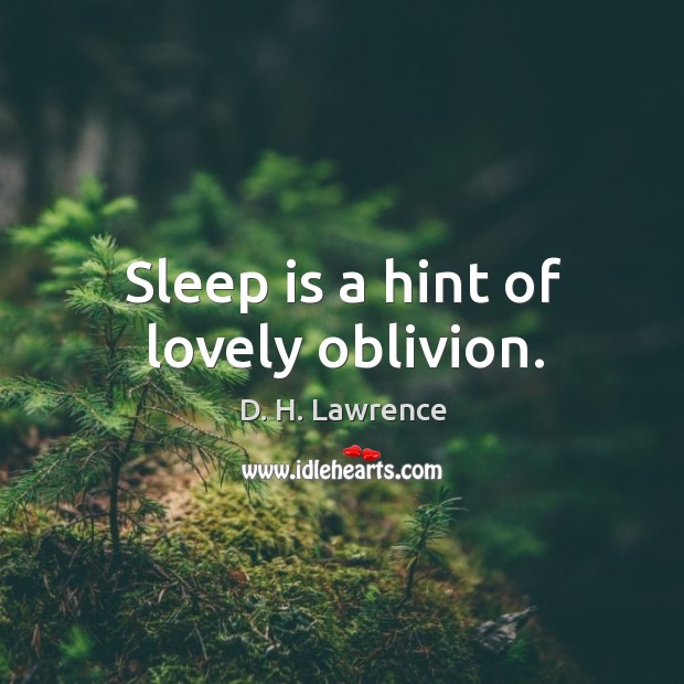 Sleep is a hint of lovely oblivion. D. H. Lawrence Picture Quote