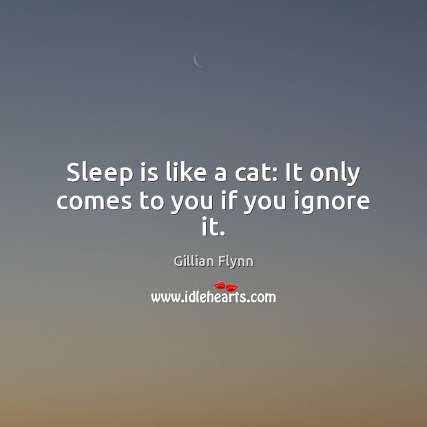 Sleep is like a cat: It only comes to you if you ignore it. Sleep Quotes Image