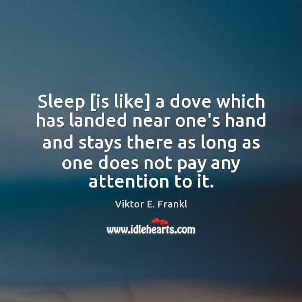 Sleep [is like] a dove which has landed near one’s hand and Viktor E. Frankl Picture Quote