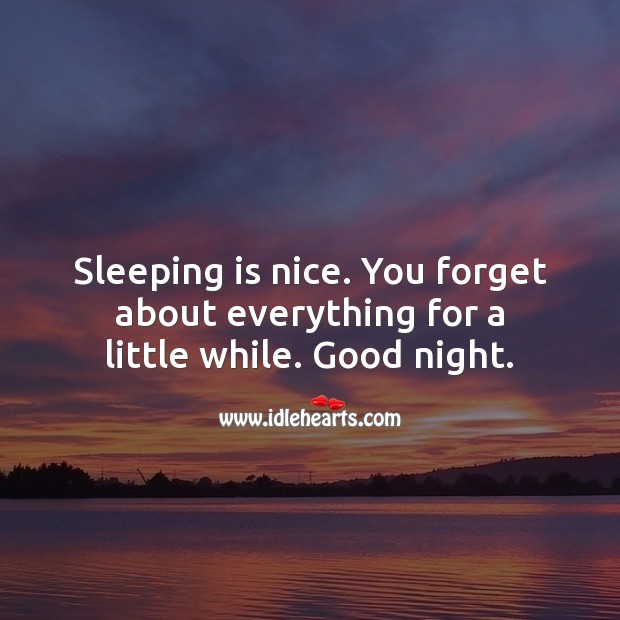 Sleeping is nice. You forget about everything for a little while. Good night. Good Night Quotes Image