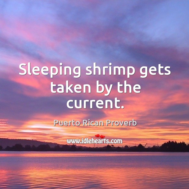 Sleeping shrimp gets taken by the current. Puerto Rican Proverbs Image