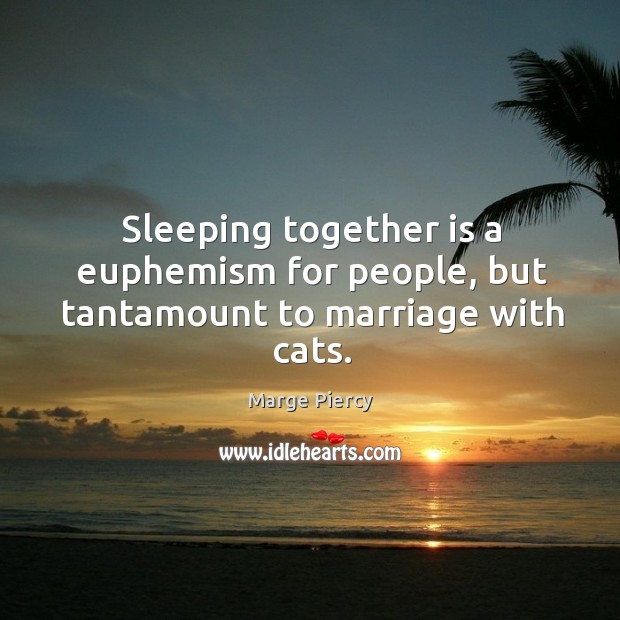 Sleeping together is a euphemism for people, but tantamount to marriage with cats. Marge Piercy Picture Quote