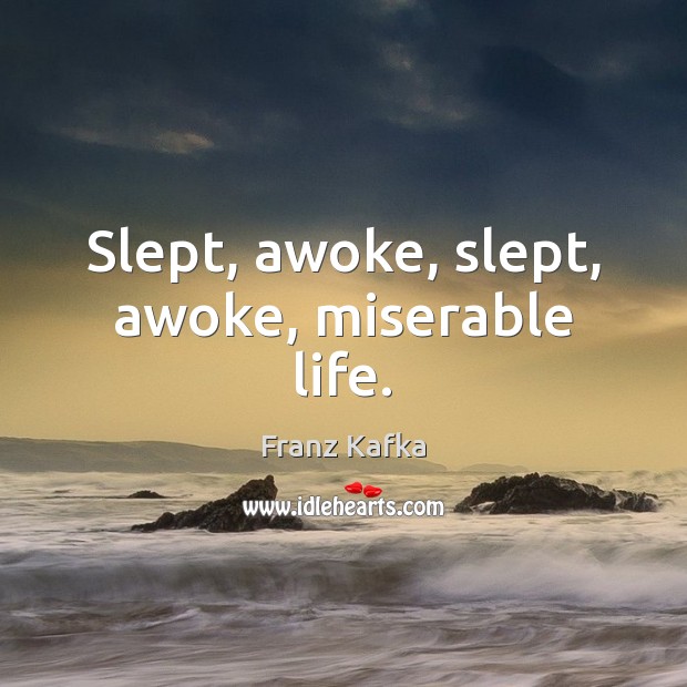Slept, awoke, slept, awoke, miserable life. Franz Kafka Picture Quote