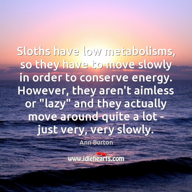 Sloths have low metabolisms, so they have to move slowly in order Ann Burton Picture Quote