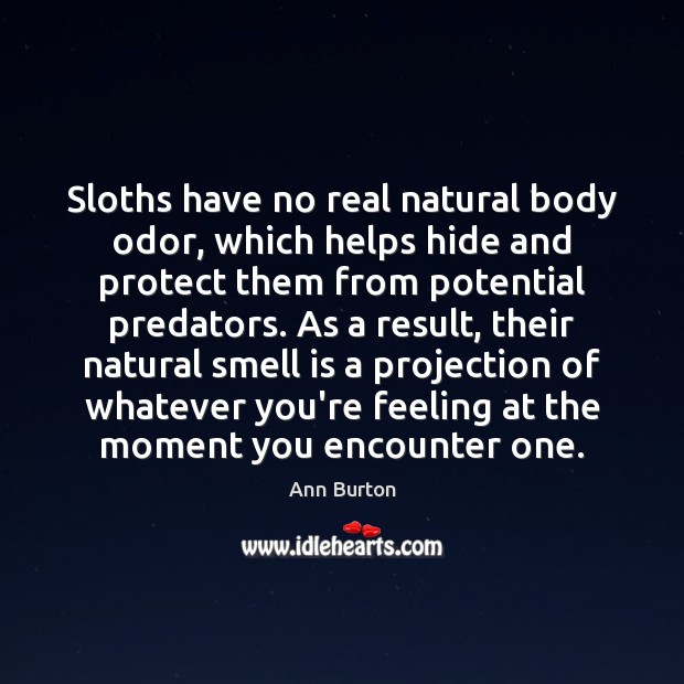 Sloths have no real natural body odor, which helps hide and protect Ann Burton Picture Quote