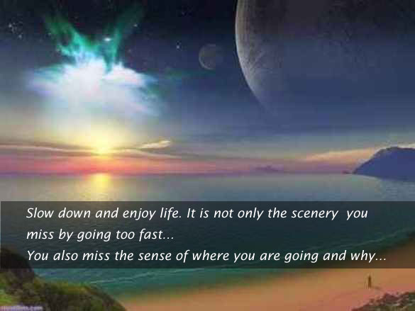By going fast you miss the sense of where you’re going Picture Quotes Image