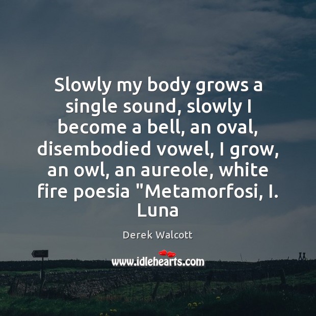 Slowly my body grows a single sound, slowly I become a bell, Derek Walcott Picture Quote