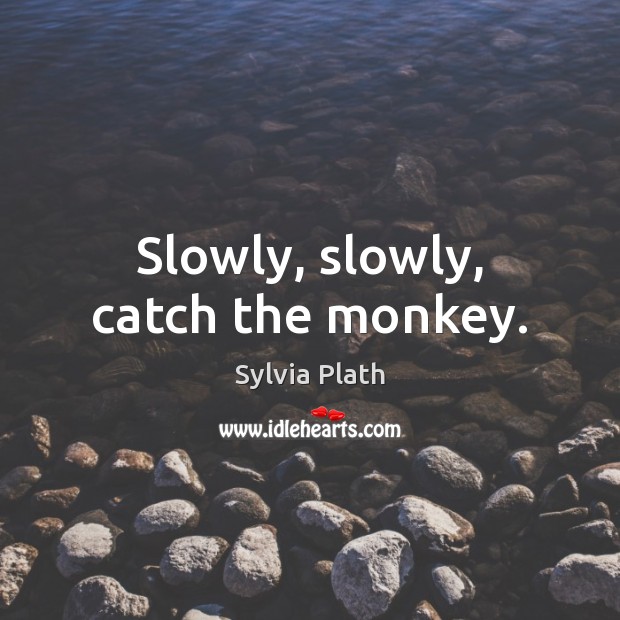Slowly, slowly, catch the monkey. Sylvia Plath Picture Quote