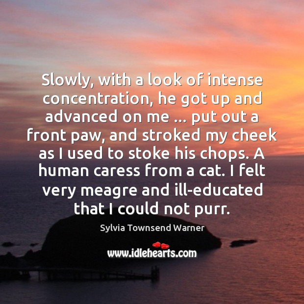 Slowly, with a look of intense concentration, he got up and advanced Sylvia Townsend Warner Picture Quote