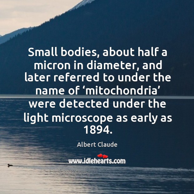 Small bodies, about half a micron in diameter, and later referred to under the name Albert Claude Picture Quote