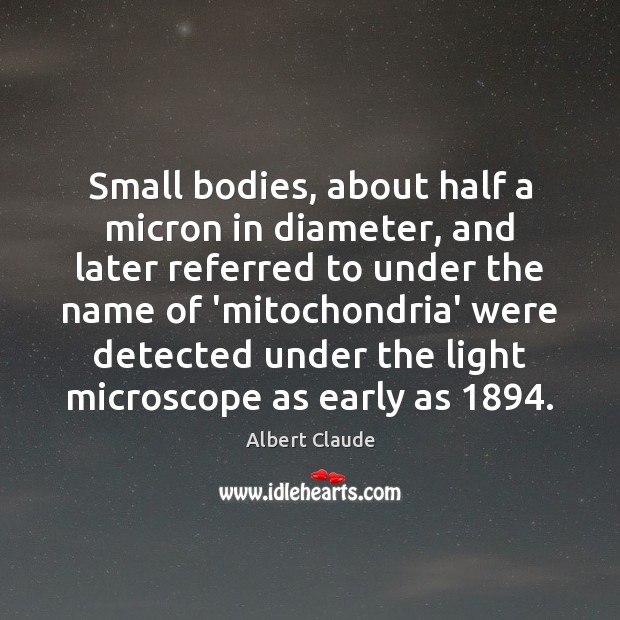 Small bodies, about half a micron in diameter, and later referred to Albert Claude Picture Quote