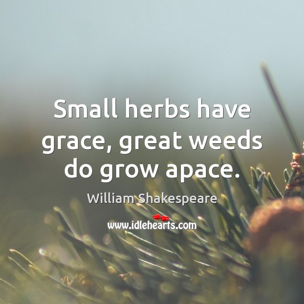 Small herbs have grace, great weeds do grow apace. Image