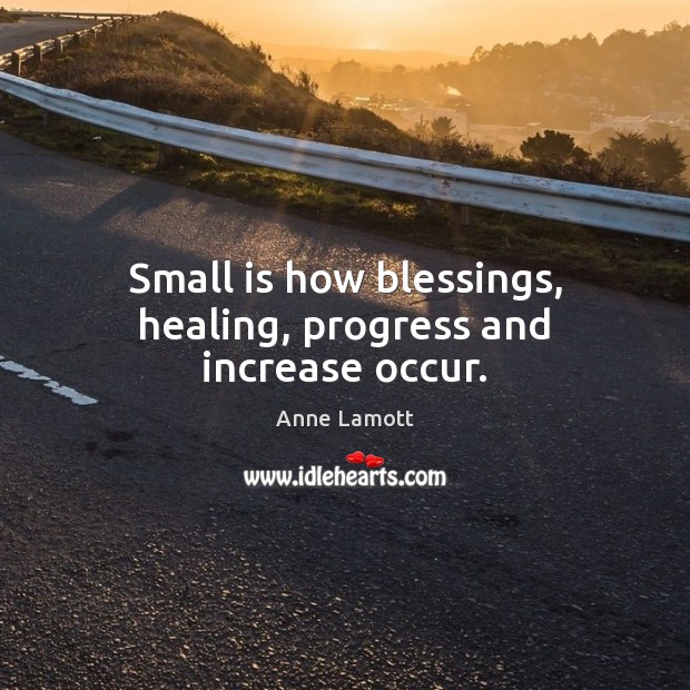 Small is how blessings, healing, progress and increase occur. Anne Lamott Picture Quote