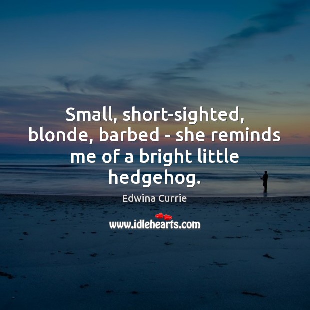 Small, short-sighted, blonde, barbed – she reminds me of a bright little hedgehog. Edwina Currie Picture Quote
