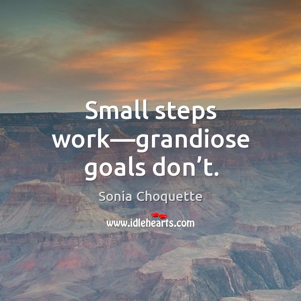 Small steps work—grandiose goals don’t. Sonia Choquette Picture Quote