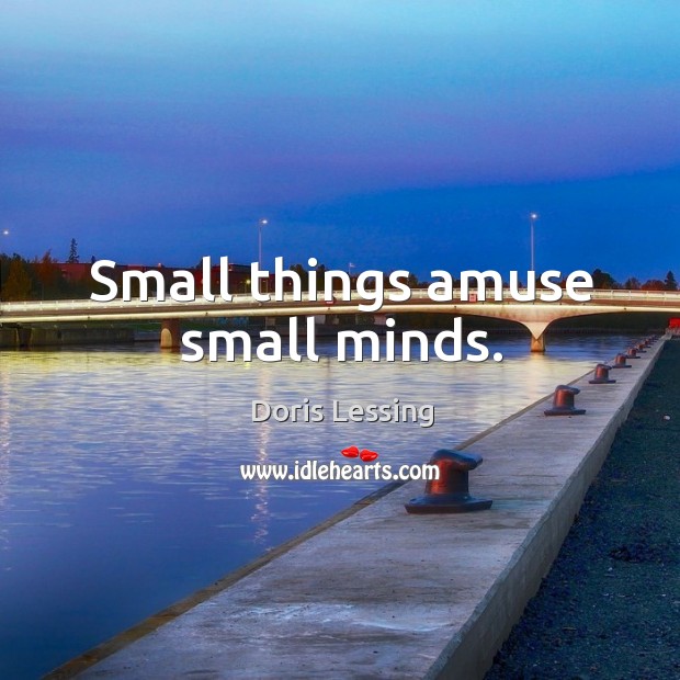 Small things amuse small minds. Doris Lessing Picture Quote
