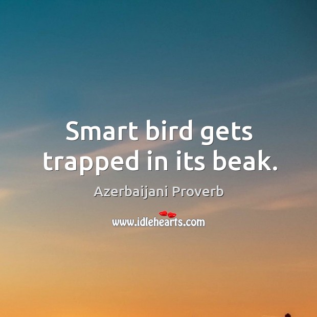 Smart bird gets trapped in its beak. Azerbaijani Proverbs Image