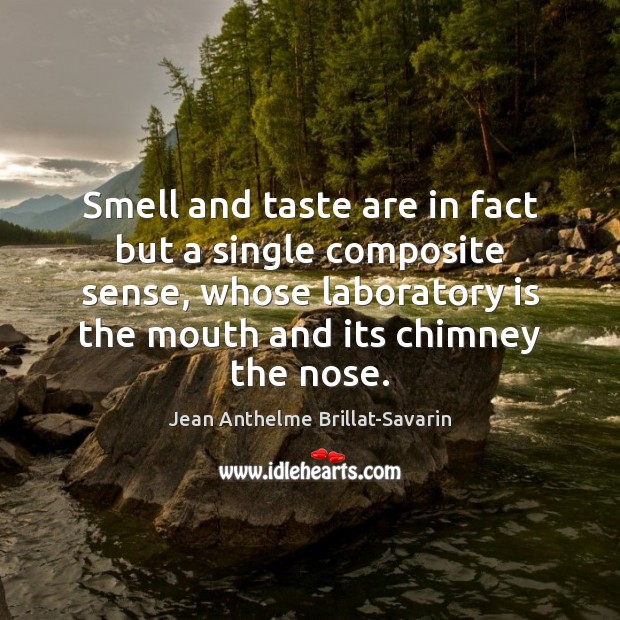Smell and taste are in fact but a single composite sense, whose Jean Anthelme Brillat-Savarin Picture Quote