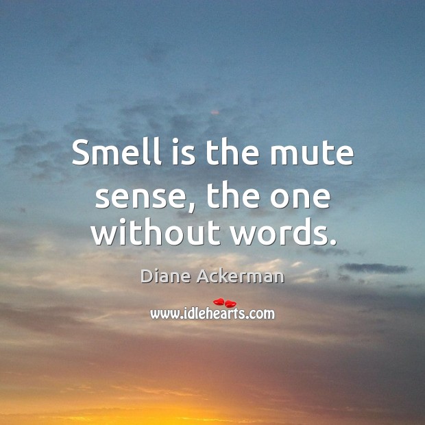 Smell is the mute sense, the one without words. Diane Ackerman Picture Quote
