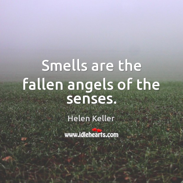 Smells are the fallen angels of the senses. Helen Keller Picture Quote