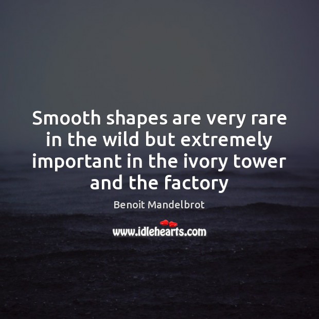 Smooth shapes are very rare in the wild but extremely important in Benoit Mandelbrot Picture Quote
