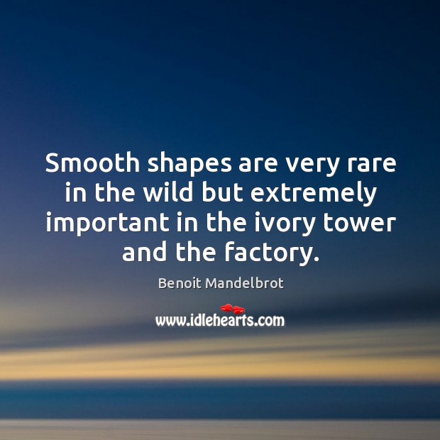 Smooth shapes are very rare in the wild but extremely important in the ivory tower and the factory. Image