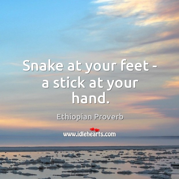 Snake at your feet – a stick at your hand. Ethiopian Proverbs Image