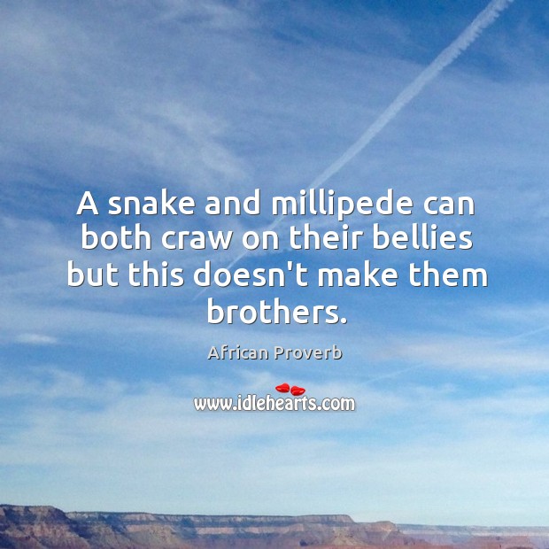 A snake and millipede can both craw on their bellies but this doesn’t make them brothers. African Proverbs Image