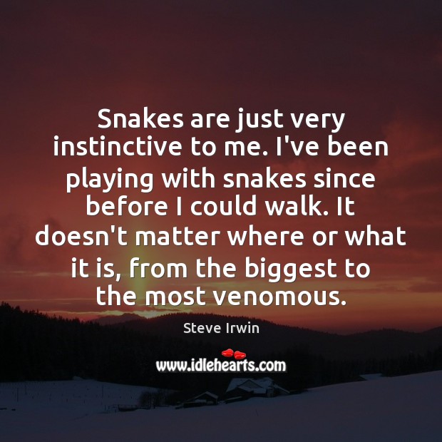 Snakes are just very instinctive to me. I’ve been playing with snakes Steve Irwin Picture Quote