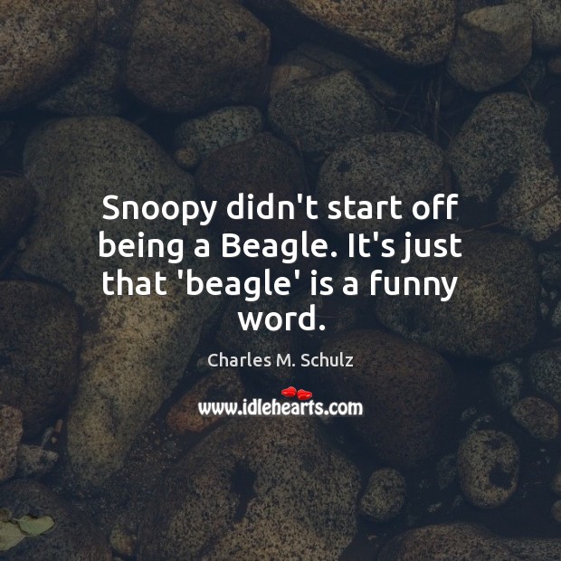Snoopy didn’t start off being a Beagle. It’s just that ‘beagle’ is a funny word. Charles M. Schulz Picture Quote