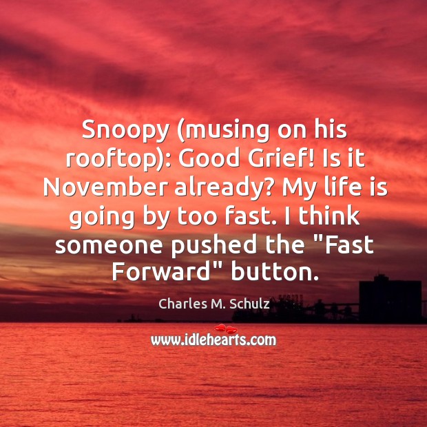 Snoopy (musing on his rooftop): Good Grief! Is it November already? My Charles M. Schulz Picture Quote