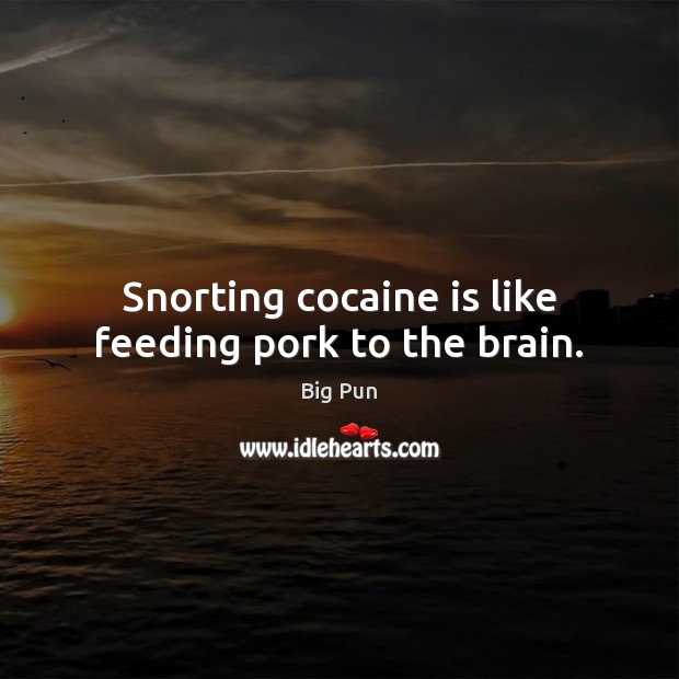 Snorting cocaine is like feeding pork to the brain. Big Pun Picture Quote