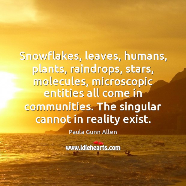 Snowflakes, leaves, humans, plants, raindrops, stars, molecules, microscopic entities all come in Paula Gunn Allen Picture Quote