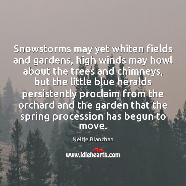 Snowstorms may yet whiten fields and gardens, high winds may howl about Neltje Blanchan Picture Quote