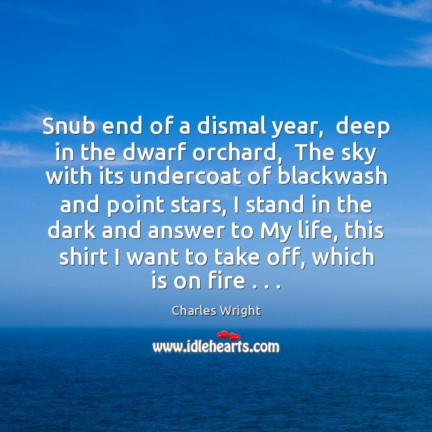 Snub end of a dismal year,  deep in the dwarf orchard,  The Charles Wright Picture Quote