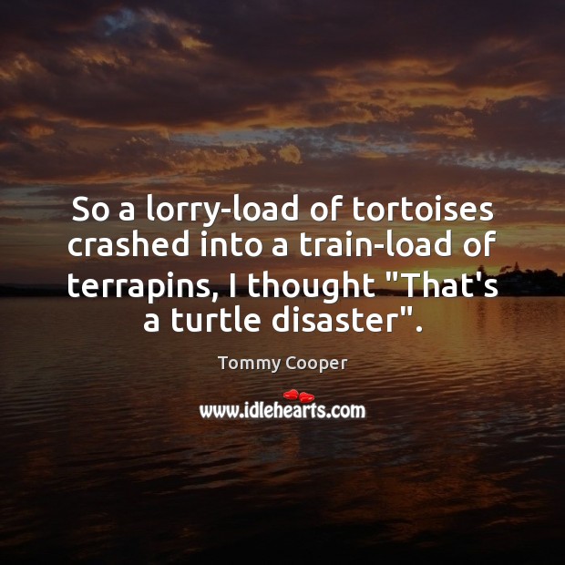 So a lorry-load of tortoises crashed into a train-load of terrapins, I Image