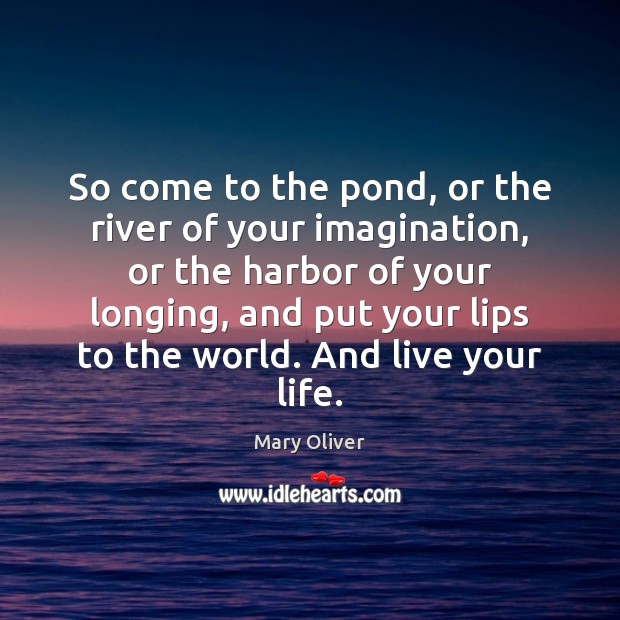 So come to the pond, or the river of your imagination, or Mary Oliver Picture Quote