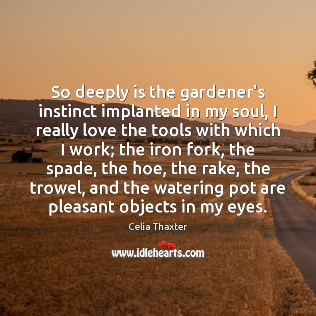 So deeply is the gardener’s instinct implanted in my soul, I really Celia Thaxter Picture Quote