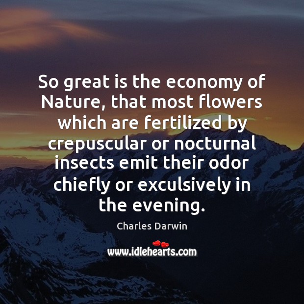 So great is the economy of Nature, that most flowers which are Charles Darwin Picture Quote