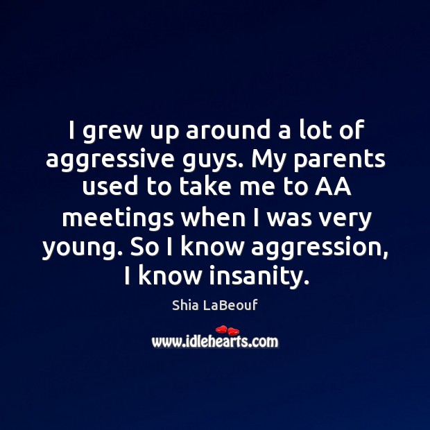 So I know aggression, I know insanity. Shia LaBeouf Picture Quote