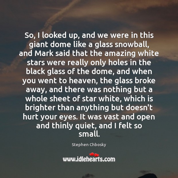 So, I looked up, and we were in this giant dome like Stephen Chbosky Picture Quote