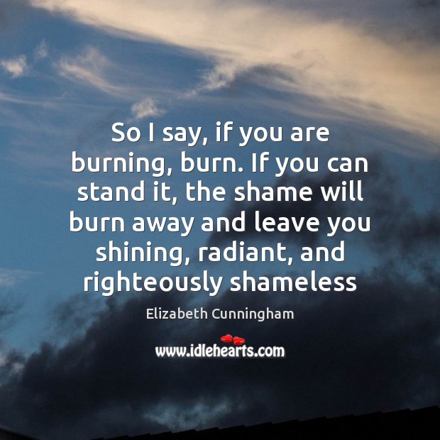 So I say, if you are burning, burn. If you can stand Elizabeth Cunningham Picture Quote